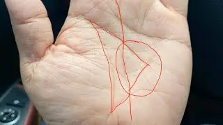What Your Palm Reveals About Your Job, Health, and Love ?