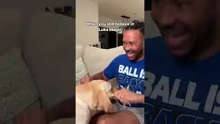 Mavs Fans After Game 4