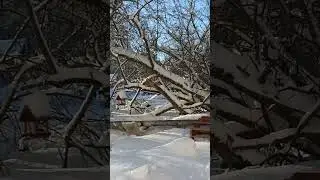 кормушка- каруселька