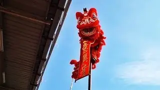 MONO-POLE Acrobatic Stunts LION DANCE in 2014