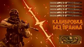 Напарники калибровка B CS:GO без прайма