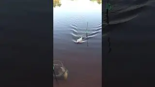 ВОТ ЭТО УЛОВ НА УДОЧКУ