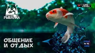 ⚡🛑🔥ФАРМ НА СЕРЕБРА | ОБЩЕНИЕ И ОТДЫХ🔥 🆂🆃🆁🅴🅰️🅼 