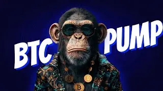 Will the bitcoin pump continue?? #bitcoin #memecoins