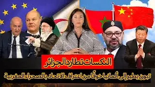 النكسات تطارد الجزائر.. تعديل حكومي وتبون يطير إلى ألمانيا خوفًا من اعتراف الاتحاد الأوروبي بالصحراء
