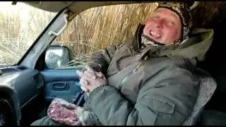 Съездили на разведку. застряли в камышах.
