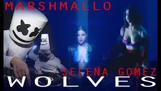 WOLVES  – SELENA GOMEZ x MARSHMELLO (cover)