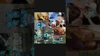 работы Пса-блогера. 2 часть
