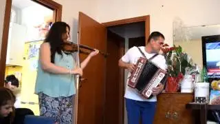 Играй гармонь