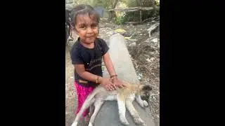 Dog 🐕🐶🐕 short video