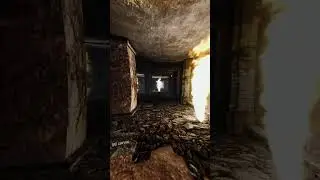 Вот что они там стоят S.T.A.L.K.E.R:  G.A.M.M.A. Anomaly #shorts