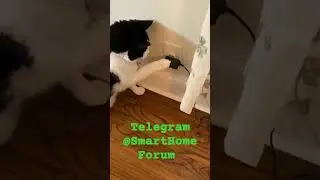 Взомал систему😂