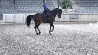 Siggy Day 5 training in Aachen
