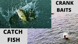 Tournament 🏆Bass Fishing🏆 (pre fishing)