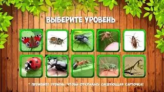 Насекомые. Малыш учит. Играем вместе. Игрушки и игры с детьми.