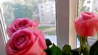 КАК СНИМАЮТСЯ КЛИПЫ?! Ибица, часть 1