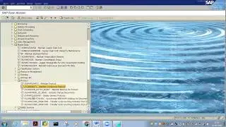 SAP EWM 9.5 VIDEO