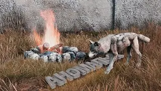 #8 Дорога Сталкера. Dayz 1.19 Аномальск (Неудержимые)
