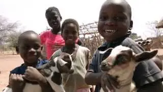 Kiwis send goats and change lives