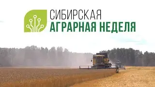 Сибирская аграрная неделя