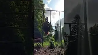 В спорте, как оказалось, есть не полезные упражнения 😂 