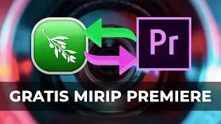 Olive Video Editor First Impression