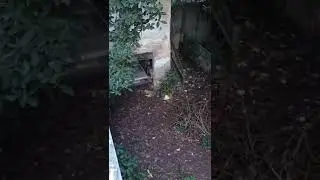 O Mistério da mansão de Margarida Bonetti.