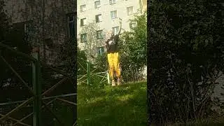 немного вышла из трэнда