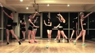 Nine Muses 'WILD' mirrored Dance Practice
