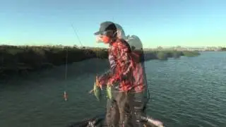 Ca Delta Fishing Report - June 28th