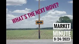 What's the Next Move?   -  Market Minute 24 September 2023