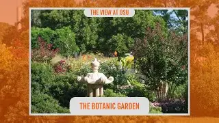 The View at OSU: The Botanic Garden