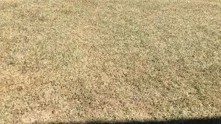 Touch grass