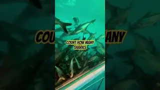 FISH AQUARIUM | MELA NEW DELHI | PASCHIM VIHAR #viral #fast #youtubeshorts #millionviews #likes #yst