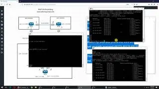 BGP AS Path Prepending