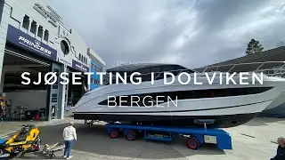 Vårslepp i Dolviken, Bergen 2022