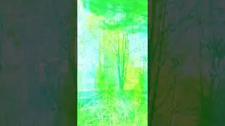 Год глазами кладоискателя! ч.1  