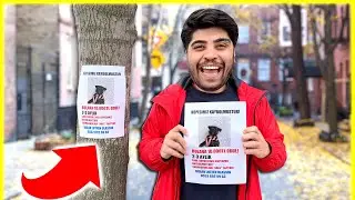 DETECTING LIARS WITH A LOST DOG AD! 😱 (You'll Be Surprised by Those Who Search)