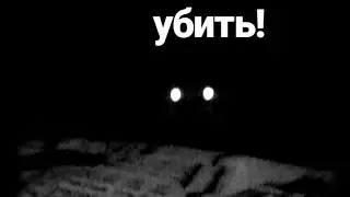 Мой Кот Пытается Меня Убить