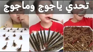 تحدي ياجوج وماجوج لأكل الحشرات والأسماك حية - فيديو لاعلاقة