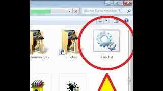 Eliminar Virus del Acceso Directo - 