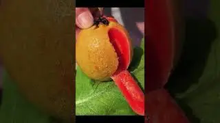 A very comfortable video, fruit video🔥Fruit Unzip Video