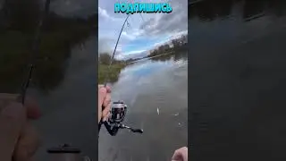 Рыбалка на окуня 🐟 Рыбак Подпишется!😍