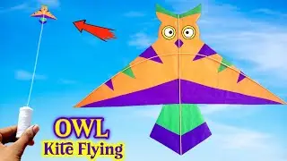 Paper Owl kite , How to make a bird kite , Flying homemade kite