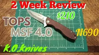 TOPS MSF 4.0 2 week review
