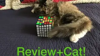 Mf6 Review