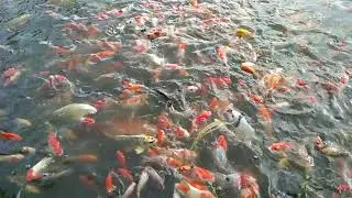rutinitas pagi dan sore