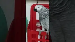 Мама сердится, и что ? ей это помогло?