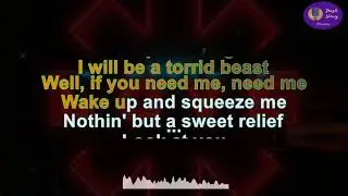 Red Hot Chili Peppers - She's A Lover   - back vocals (Karaoke version) guitar solo bonus!