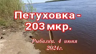 4 июня. Рыбалка. Петухова - 203мкр.